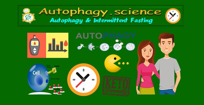 autophagy and fasting