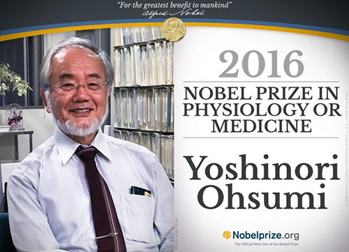 Yoshinori Ohsumi