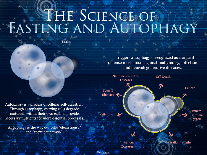 Autophagy and Fasting